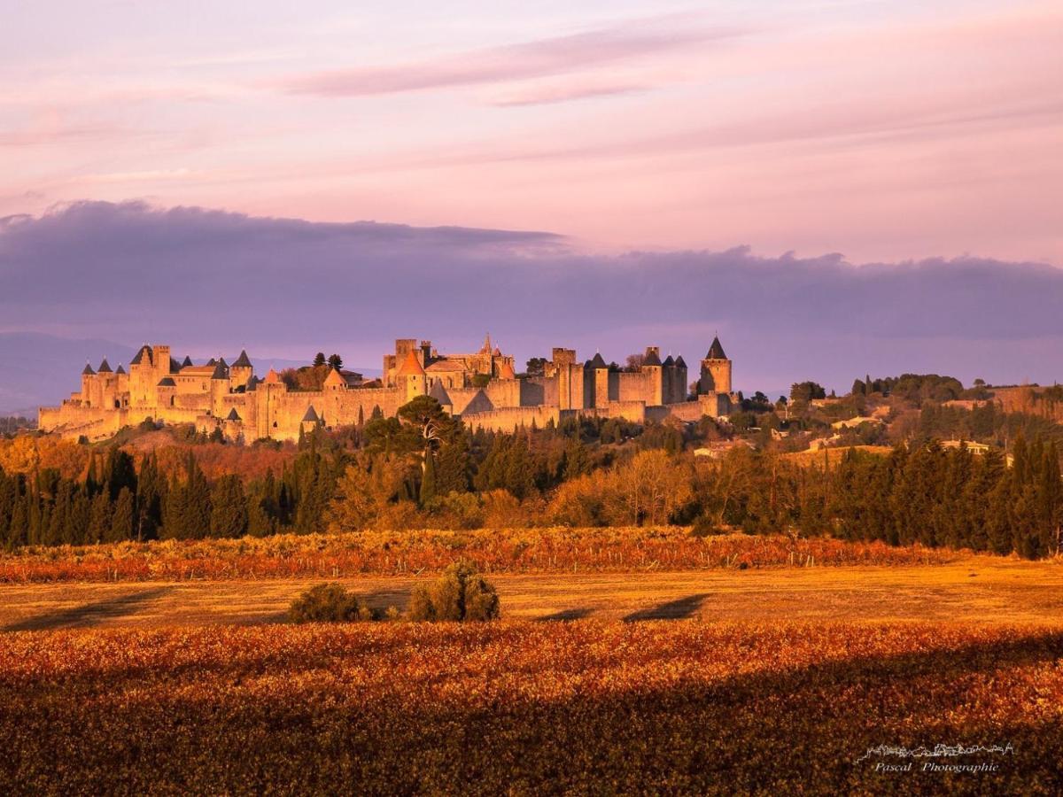 B&B-Les Balcons De Maragon Carcassonne Exterior photo